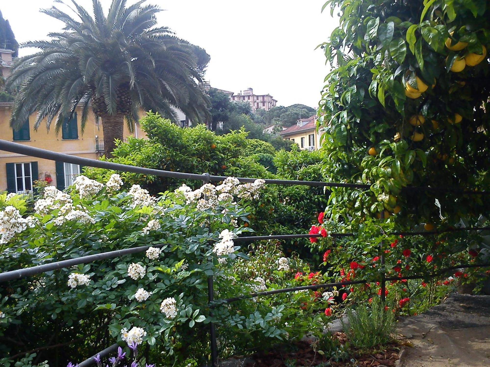 Canali, Portofino Coast