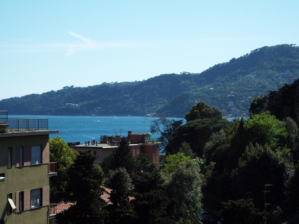 Canali, Portofino Coast